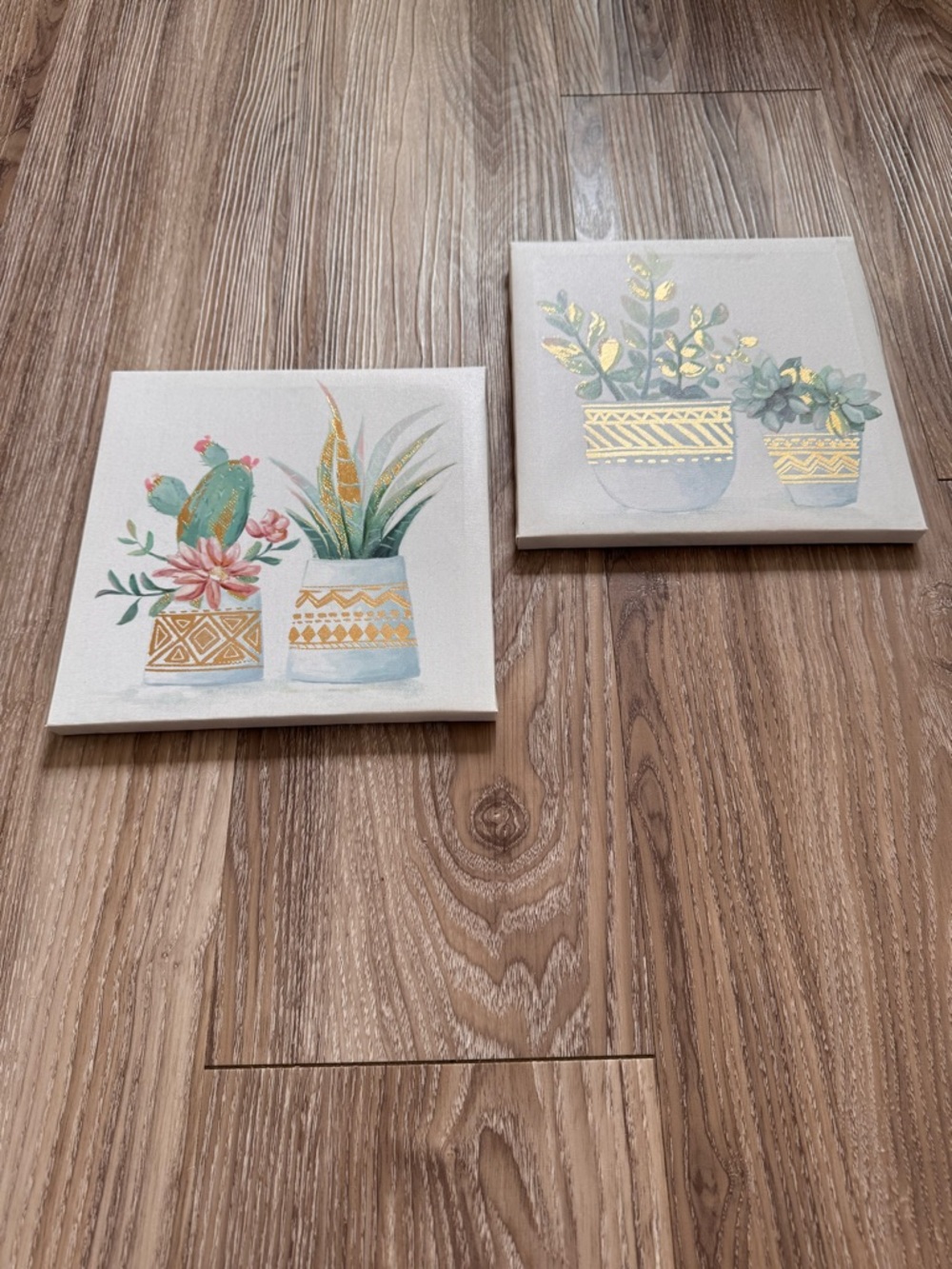 Succulent Plant Art Set - Picture 11 of 13